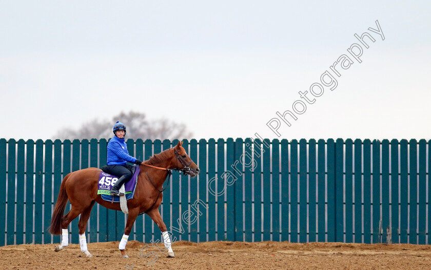 Modern-Games-0001 
 MODERN GAMES training for the Breeders' Cup Mile
Keeneland USA 1 Nov 2022 - Pic Steven Cargill / Racingfotos.com