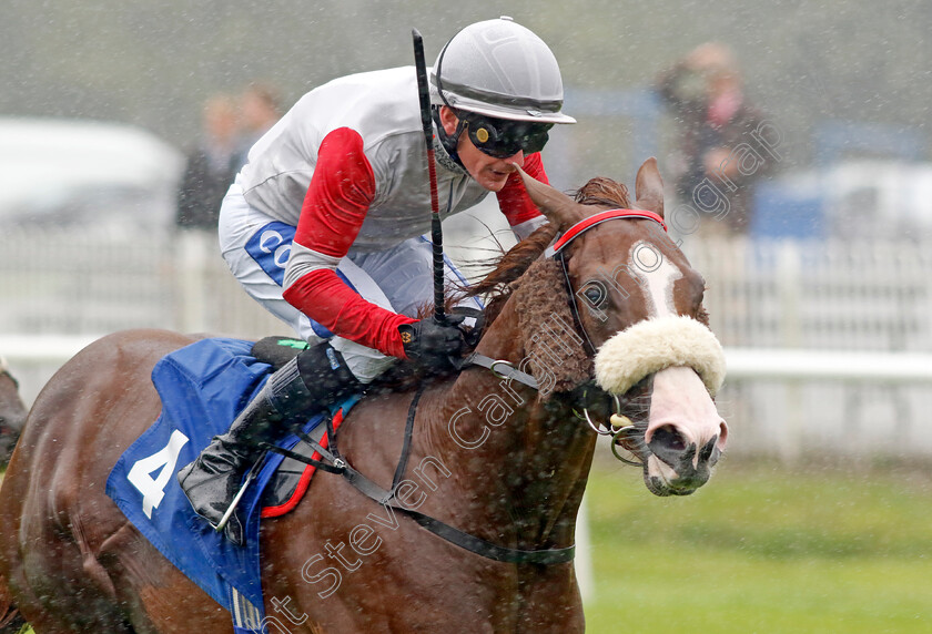 Under-The-Sea-0001 
 UNDER THE SEA (Kieran O'Neill) wins The It's National Racehorse Week Nursery
Leicester 10 Sep 2024 - Pic Steven Cargill / Racingfotos.com