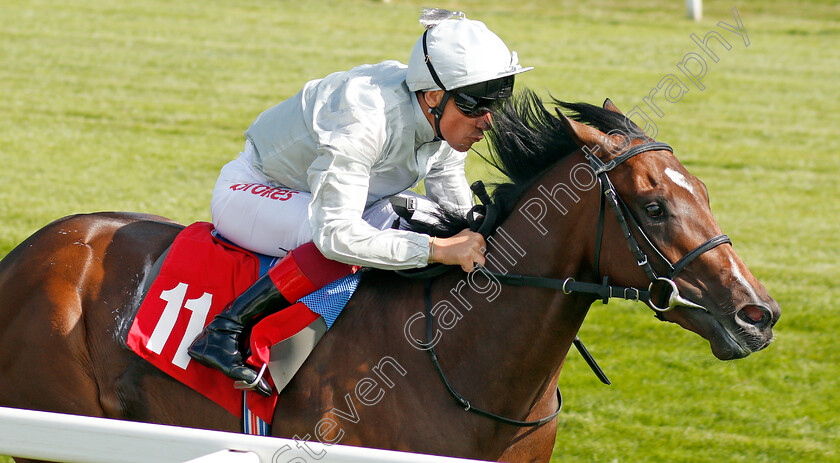 Palace-Pier-0007 
 PALACE PIER (Frankie Dettori) wins The Betway British EBF Maiden Stakes
Sandown 30 Aug 2019 - Pic Steven Cargill / Racingfotos.com