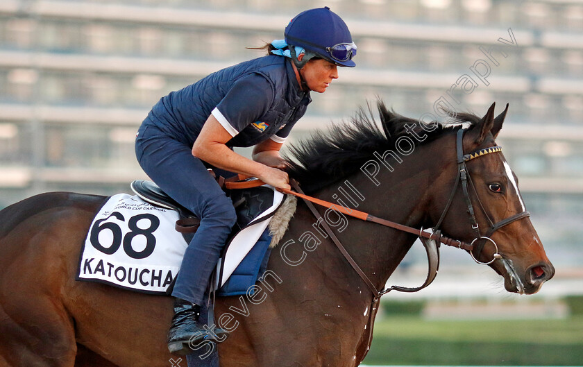 Katoucha-0001 
 KATOUCHA training at Meydan, Dubai
2 Feb 2023 - Pic Steven Cargill / Racingfotos.com