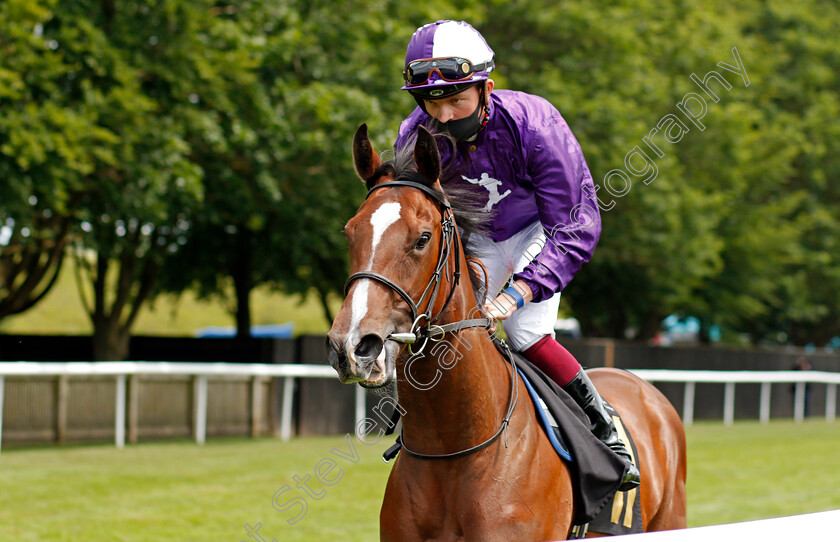 Lovely-Mana-0001 
 LOVELY MANA (Rob Hornby)
Newmarket 26 Jun 2021 - Pic Steven Cargill / Racingfotos.com