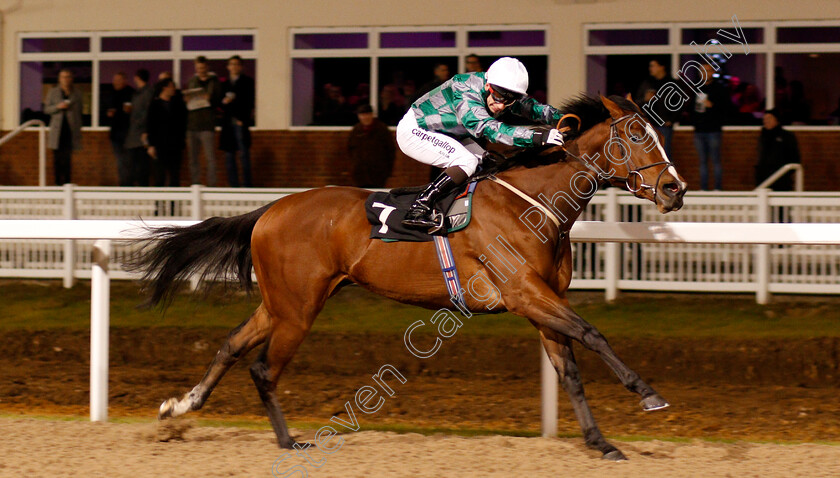 Karijini-0002 
 KARIJINI (Edward Greatrex) wins The Bet toteexacta At betfred.com Maiden Stakes Chelmsford 8 Dec 2017 - Pic Steven Cargill / Racingfotos.com