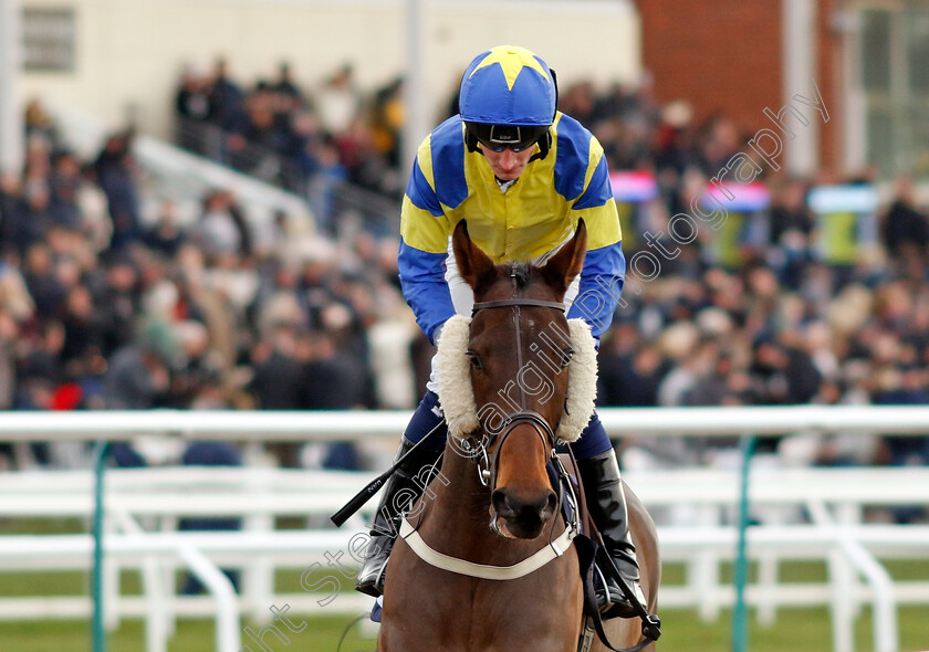 Bowman-0001 
 BOWMAN (Daniel Muscutt)
Lingfield 20 Jan 2024 - Pic Steven Cargill / Racingfotos.com