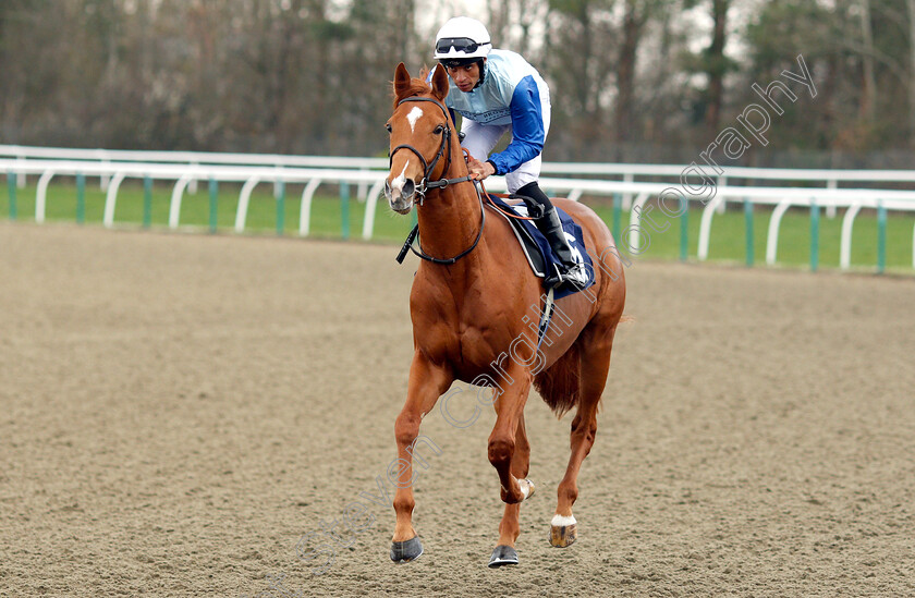 Ritchie-Valens-0001 
 RITCHIE VALENS (Sean Levey)
Lingfield 23 Mar 2019 - Pic Steven Cargill / Racingfotos.com