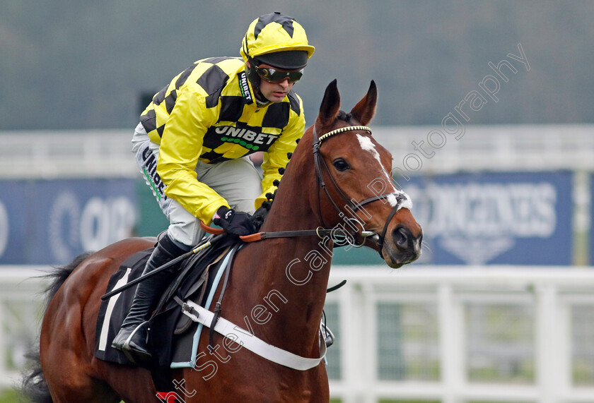 Lulamba-0006 
 LULAMBA (Nico de Boinville) winner of the Betmgm Juvenile Hurdle
Ascot 18 Jan 2025 - Pic Steven Cargill / Racingfotos.com