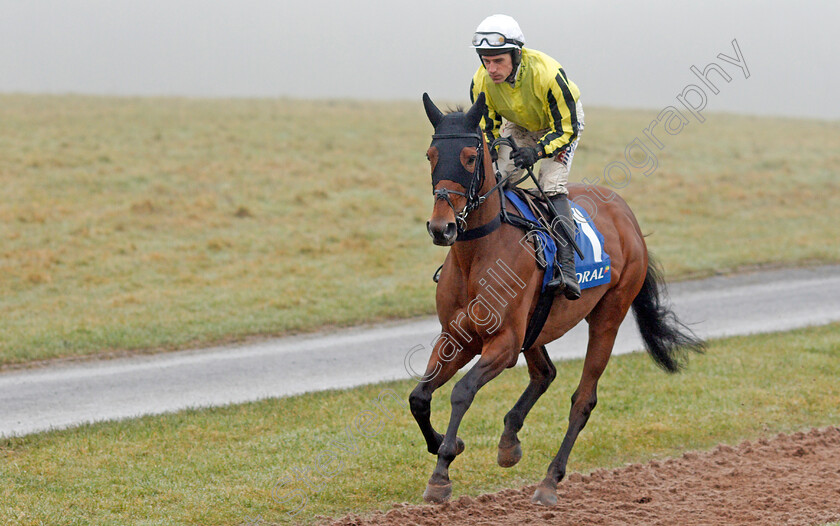 Allmankind-0001 
 ALLMANKIND (Harry Skelton) winner of The Coral Finale Hurdle
Chepstow 27 Dec 2019 - Pic Steven Cargill / Racingfotos.com