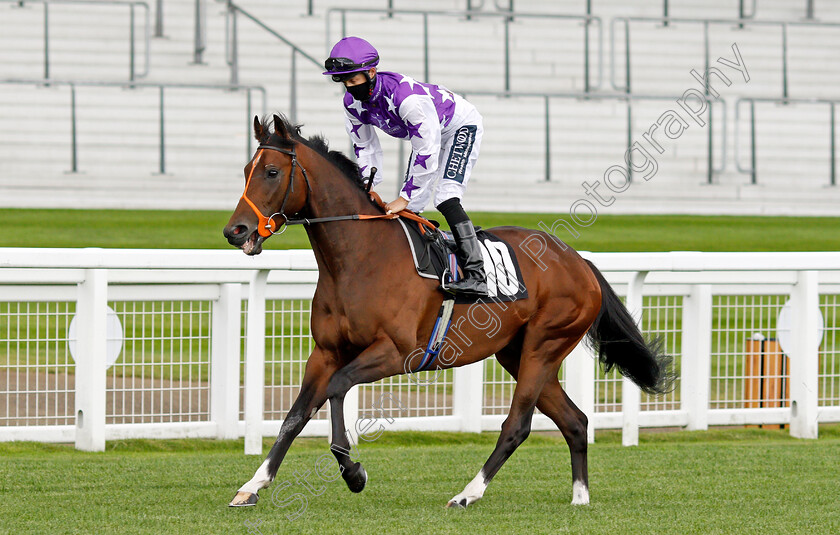 Shanghai-Rock-0001 
 SHANGHAI ROCK (Harry Bentley)
Ascot 25 Jul 2020 - Pic Steven Cargill / Racingfotos.com