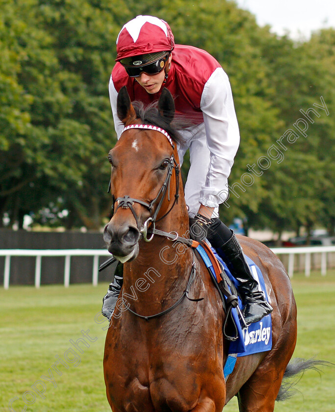 Glorious-Journey-0001 
 GLORIOUS JOURNEY (James Doyle) 
Newmarket 13 Jul 2019 - Pic Steven Cargill / Racingfotos.com