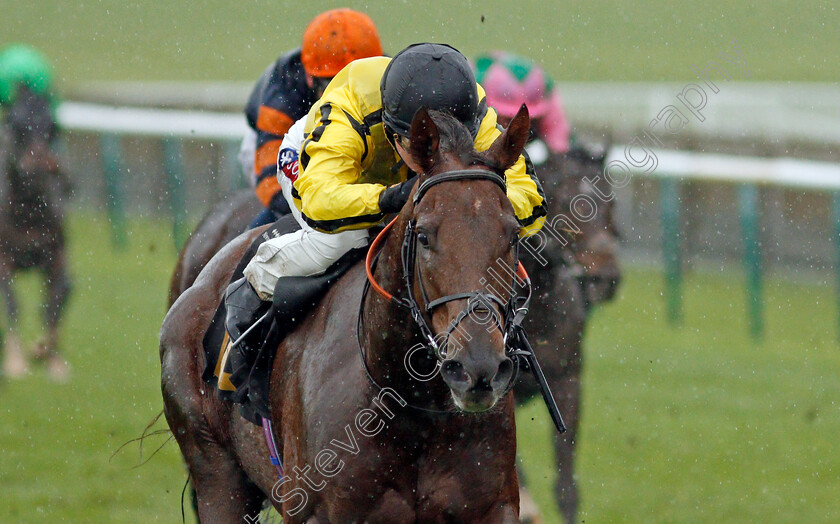 Rains-Of-Castamere-0005 
 RAINS OF CASTAMERE (Hollie Doyle) wins The Mansionbet Halloween Spooktacular Handicap
Newmarket 31 Oct 2020 - Pic Steven Cargill / Racingfotos.com