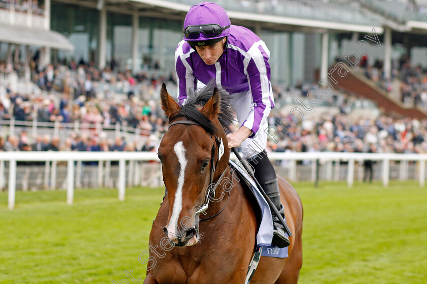 Continuous-0002 
 CONTINUOUS (Ryan Moore)
York 18 May 2023 - Pic Steven Cargill / Racingfotos.com