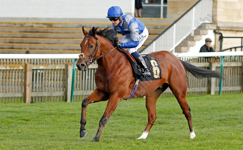 Fearless-Bay 
 FEARLESS BAY (Jim Crowley)
Newmarket 20 Oct 2021 - Pic Steven Cargill / Racingfotos.com