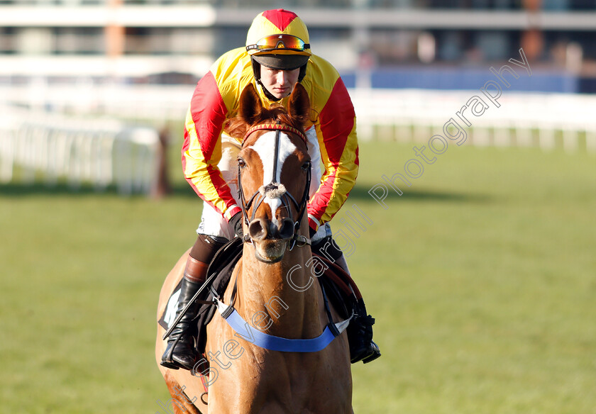 Mere-Ironmonger-0001 
 MERE IRONMONGER (Brendan Powell)
Newbury 30 Nov 2018 - Pic Steven Cargill / Racingfotos.com