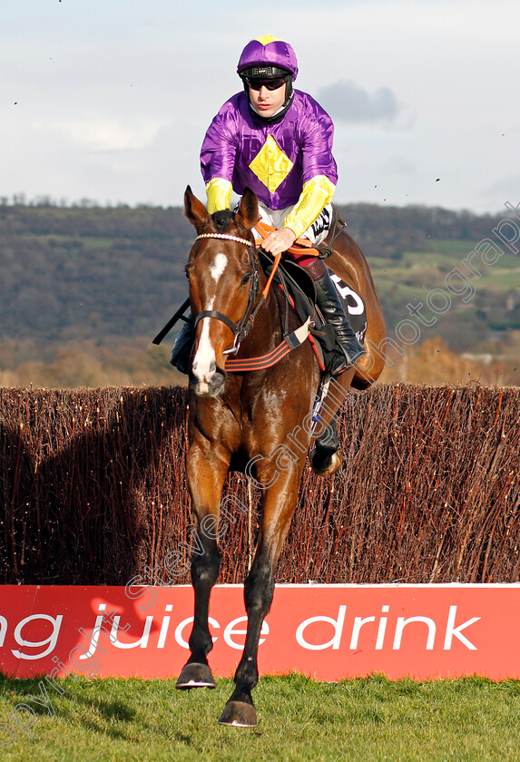 Doc-Penfro-0002 
 DOC PENFRO (Aidan Coleman)
Cheltenham 15 Nov 2020 - Pic Steven Cargill / Racingfotos.com