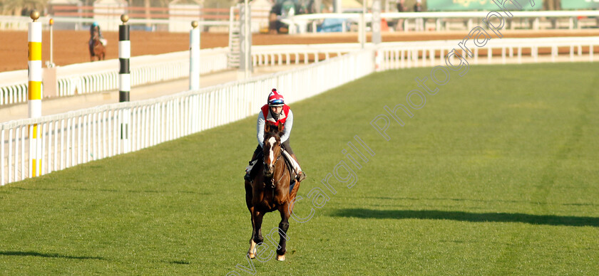 Roberto-Escobarr-0003 
 ROBERTO ESCOBARR training for The Red Sea Turf Handicap
King Abdulaziz Racecourse, Saudi Arabia 21 Feb 2024 - Pic Steven Cargill / Racingfotos.com