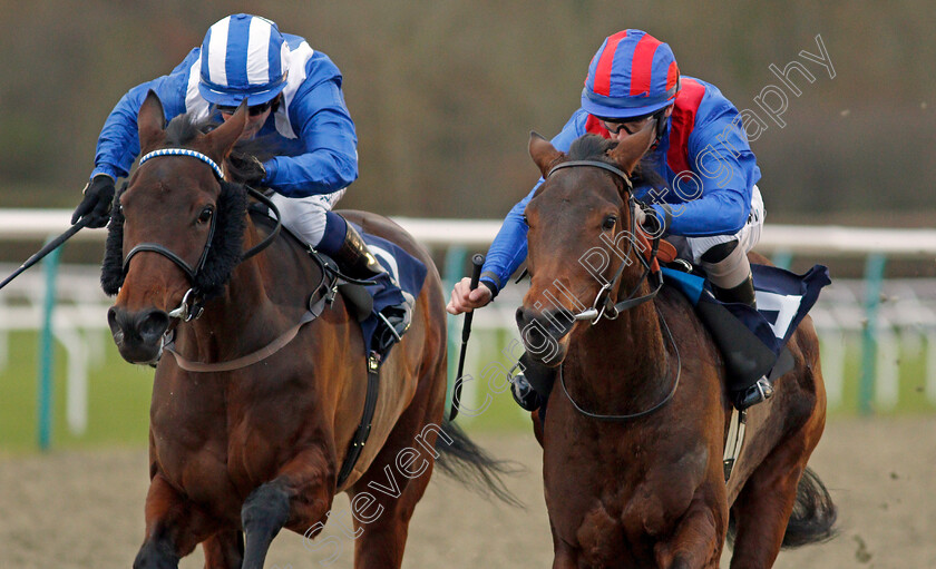 Equal-Share-0008 
 EQUAL SHARE (right, Richard Kingscote) beats AZAHEER (left) in The Coral Proud To Support British Racing EBF Fillies Novice Stakes Div1
Lingfield 1 Dec 2021 - Pic Steven Cargill / Racingfotos.com