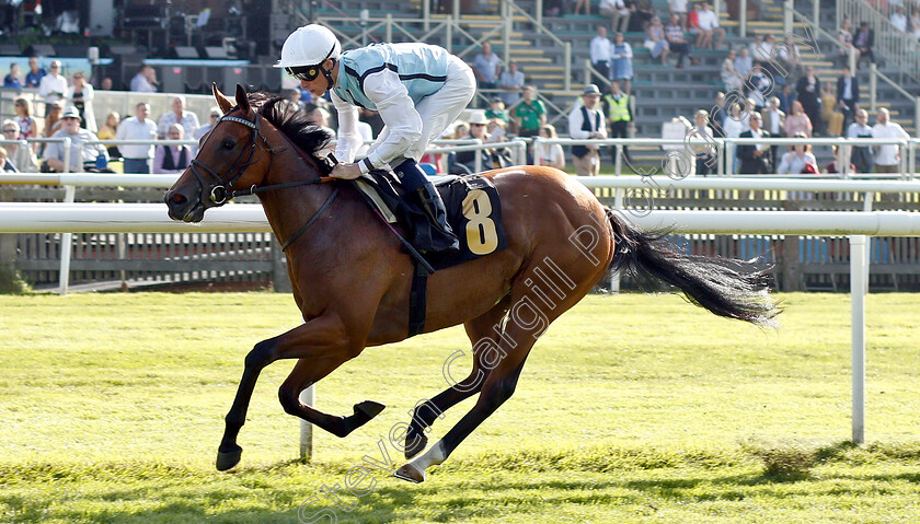 Ultra-Violet-0003 
 ULTRA VIOLET (Kieran Shoemark) wins The Techtrak British EBF Maiden Fillies Stakes
Newmarket 28 Jun 2019 - Pic Steven Cargill / Racingfotos.com