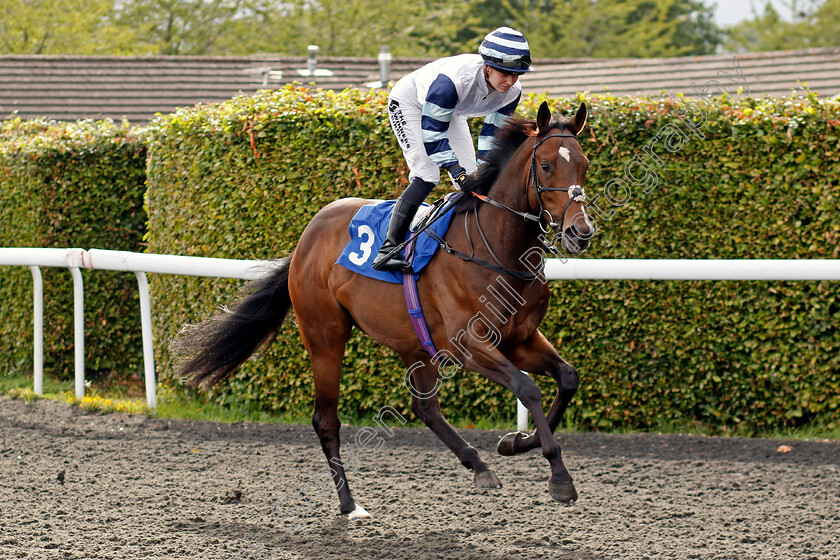 I-Love-Dad-0001 
 I LOVE DAD (Saffie Osborne)
Kempton 7 Aug 2024 - Pic Steven Cargill / Racingfotos.com