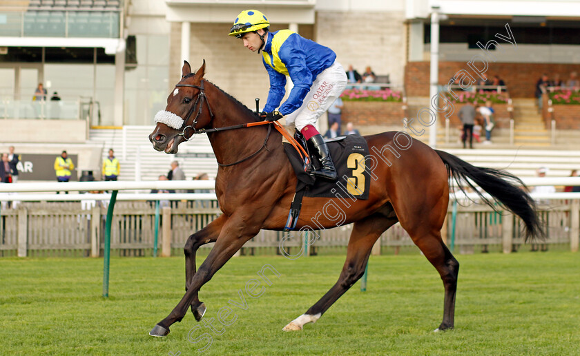 Francisco-0001 
 FRANCISCO (Oisin Murphy)
Newmarket 7 Oct 2023 - Pic Steven Cargill / Racingfotos.com