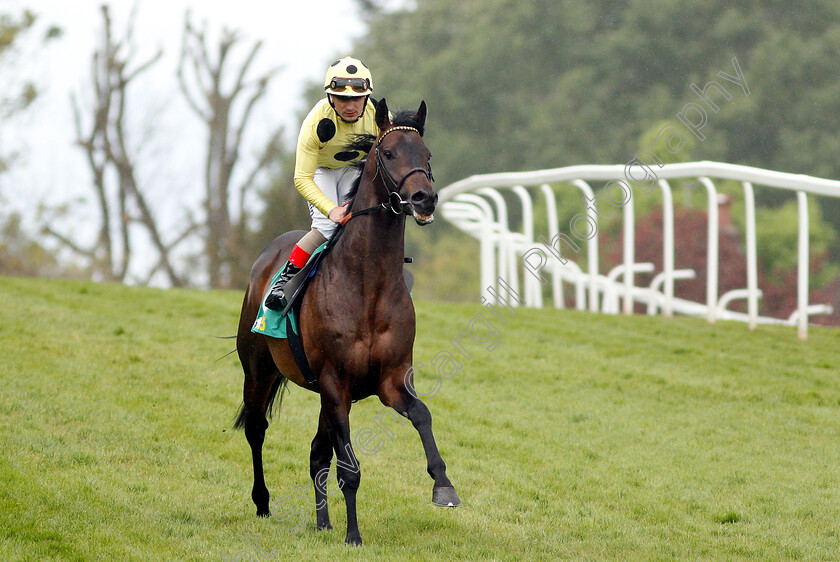 Sharja-Bridge-0002 
 SHARJA BRIDGE (Andrea Atzeni)
Sandown 26 Apr 2019 - Pic Steven Cargill / Racingfotos.com