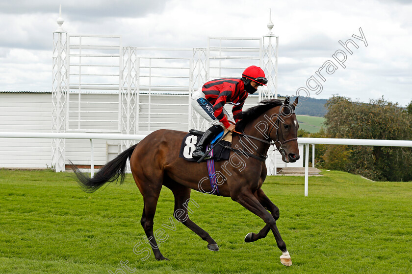 Eyes-0001 
 EYES (Nicola Currie)
Goodwood 29 Aug 2020 - Pic Steven Cargill / Racingfotos.com