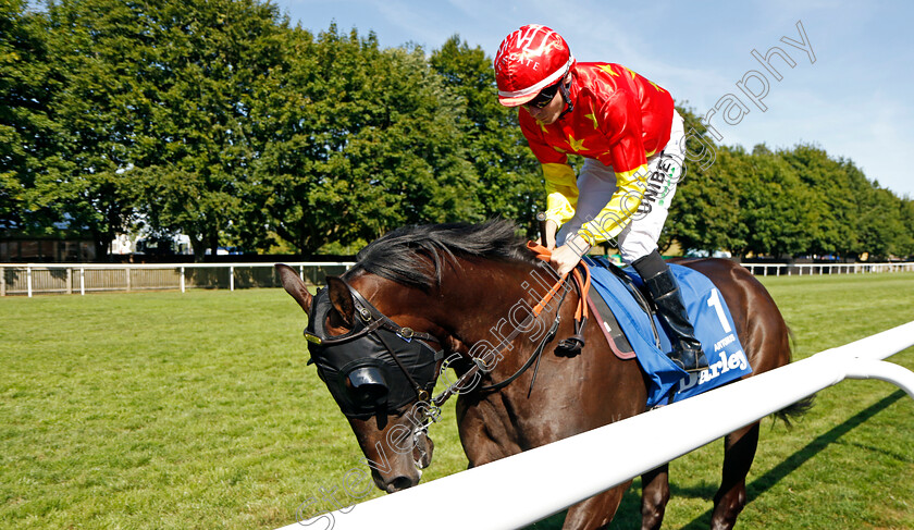 Artorius-0005 
 ARTORIUS (Jamie Spencer) before The Darley July Cup
Newmarket 9 Jul 2022 - Pic Steven Cargill / Racingfotos.com