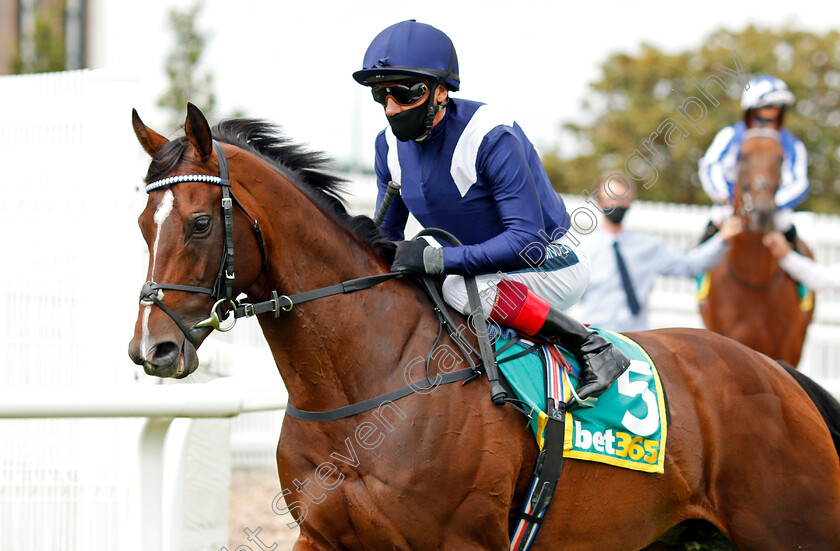 Global-Giant-0002 
 GLOBAL GIANT (Frankie Dettori) winner of The bet365 Steventon Stakes
Newbury 19 Jul 2020 - Pic Steven Cargill / Racingfotos.com