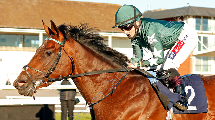 Faisal-0007 
 FAISAL (Hollie Doyle) wins The Betway Maiden Stakes Div2
Lingfield 4 Aug 2020 - Pic Steven Cargill / Racingfotos.com