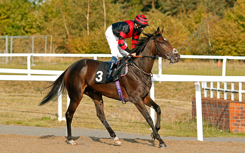 La-Dragontea-0003 
 LA DRAGONTEA (William Buick) before winning The EBF Fillies Novice Stakes
Chelmsford 20 Sep 2020 - Pic Steven Cargill / Racingfotos.com