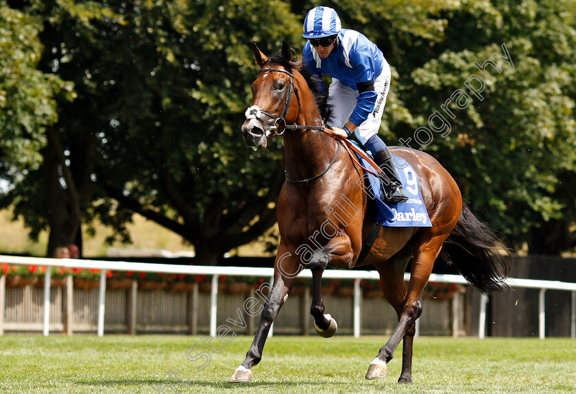 Eqtidaar-0001 
 EQTIDAAR (Jim Crowley)
Newmarket 14 Jul 2018 - Pic Steven Cargill / Racingfotos.com