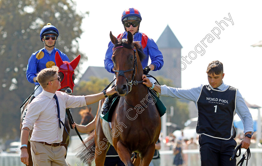 Dubai-Honour-0002 
 DUBAI HONOUR (Tom Marquand)
Baden Baden 1 Sep 2024 - Pic Steven Cargill / Racingfotos.com