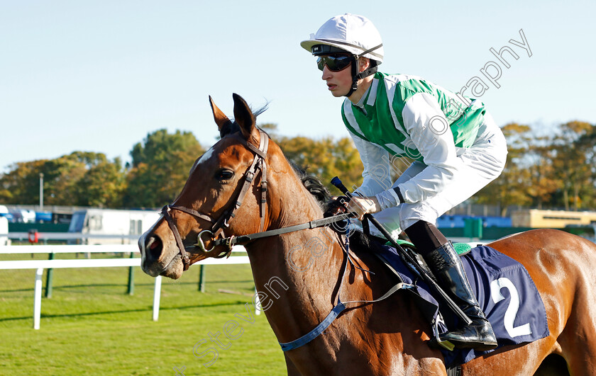 Bailar-Contigo-0001 
 BAILAR CONTIGO (Ross Coakley)
Yarmouth 18 Oct 2022 - Pic Steven Cargill / Racingfotos.com