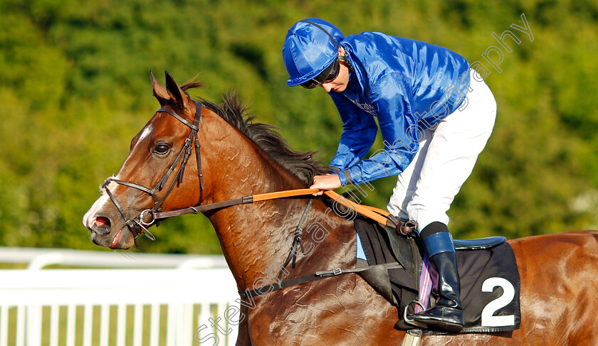 Light-And-Dark 
 LIGHT AND DARK (Tom Queally)
Chelmsford 7 Jun 2022 - Pic Steven Cargill / Racingfotos.com