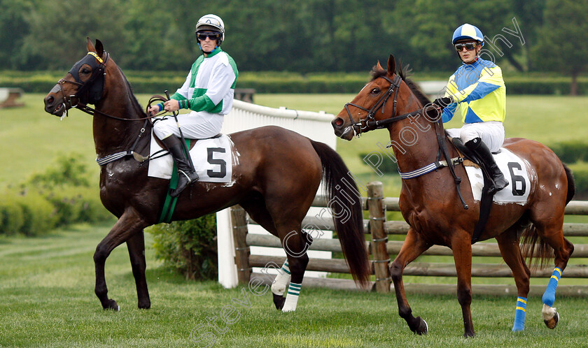 Lord-Justice-0001 
 LORD JUSTICE (right, Michael Mitchell) before winning The Bright Hour Handicap Hurdle
Percy Warner Park, Nashville Tennessee USA 11 May 2019 - Pic Steven Cargill / Racingfotos.com