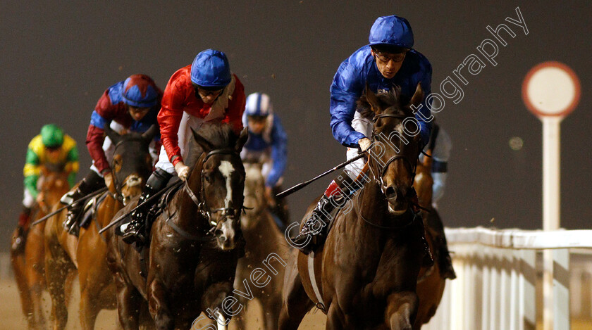 Kinver-Edge-0005 
 KINVER EGDE (Shane Kelly) wins The Bet toteswinger At totesport.com Novice Stakes
Chelmsford 21 Feb 2019 - Pic Steven Cargill / Racingfotos.com