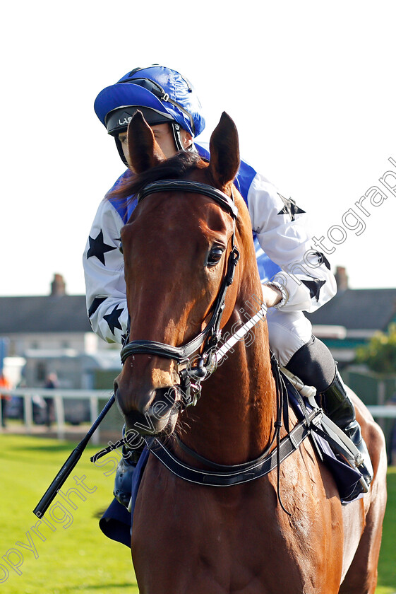 Streaky-Bay 
 STREAKY BAY (Robert Tart)
Yarmouth 19 Oct 2021 - Pic Steven Cargill / Racingfotos.com