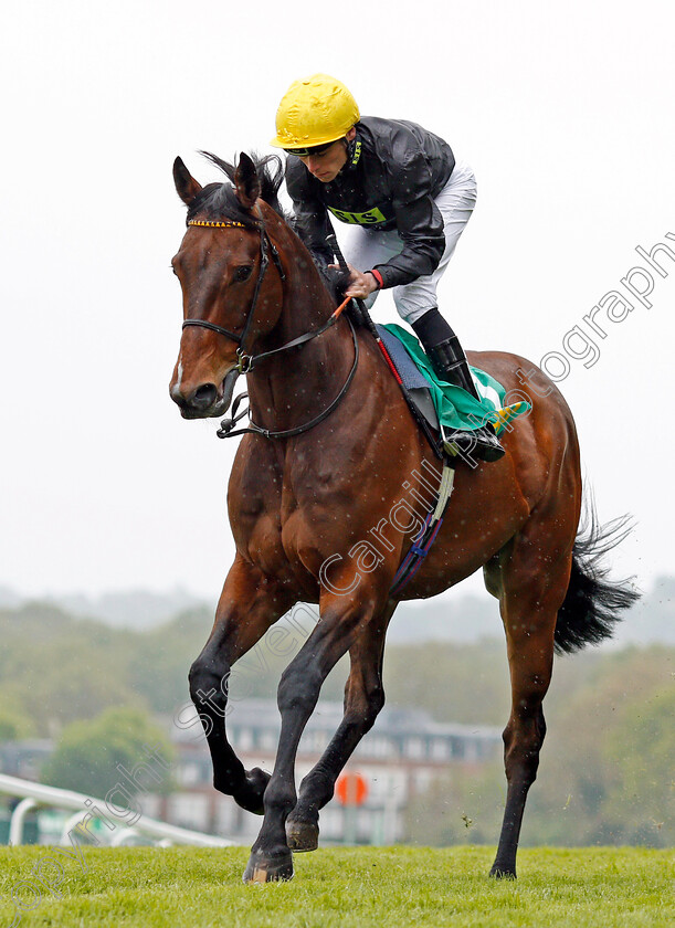 Almodovar-0001 
 ALMODOVAR (Kieran Shoemark) Sandown 27 Apr 2018 - Pic Steven Cargill / Racingfotos.com