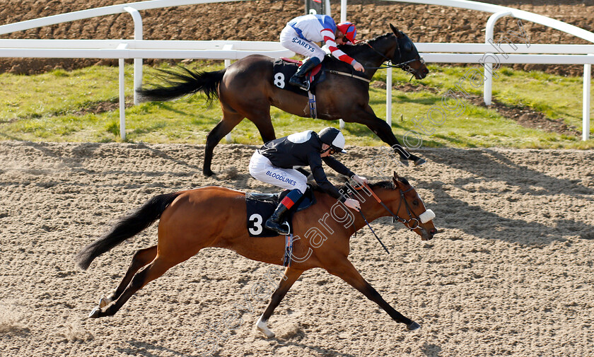 Hic-Bibi-0006 
 HIC BIBI (nearside, David Egan) beats HOLY TIBER (farside) in The Bet toteswinger At totesport.com Handicap
Chelmsford 11 Apr 2019 - Pic Steven Cargill / Racingfotos.com