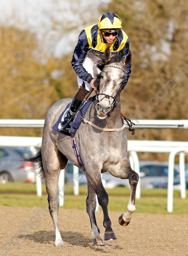 Must-Be-An-Angel-0001 
 MUST BE AN ANGEL (James Doyle)
Lingfield 18 Dec 2019 - Pic Steven Cargill / Racingfotos.com