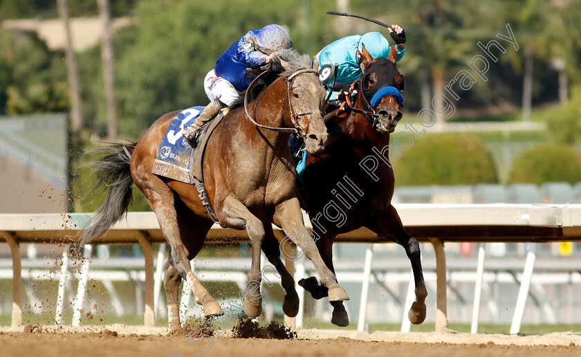 Cody s-Wish-0006 
 CODY'S WISH (left, Junior Alvarado) beats NATIONAL TREASURE (right, Flavien Prat) in The Breeders' Cup Dirt Mile
Santa Anita 4 Nov 2023 - Pic Steven Cargill / Racingfotos.com