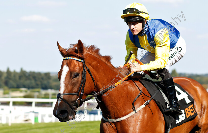 New-Day-Dawn-0001 
 NEW DAY DAWN (Richard Kingscote)
Sandown 1 Sep 2018 - PIc Steven Cargill / Racingfotos.com