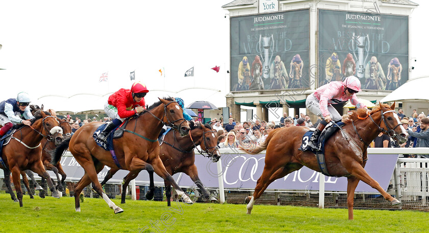 Live-In-The-Dream-0005 
 LIVE IN THE DREAM (Sean Kirrane) beats HIGHFIELD PRINCESS (left) in The Coolmore Nunthorpe Stakes
York 25 Aug 2023 - Pic Steven Cargill / Racingfotos.com