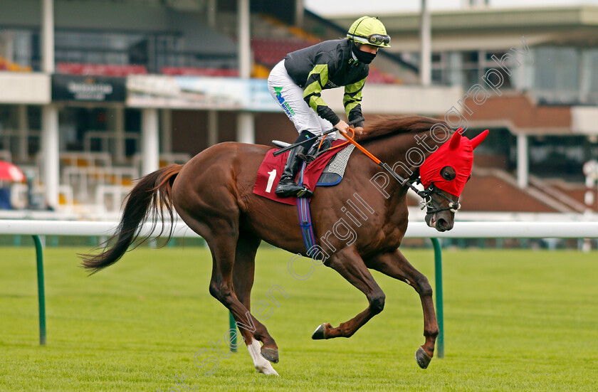 Artorious-0001 
 ARTORIOUS (Jane Elliott)
Haydock 3 Sep 2020 - Pic Steven Cargill / Racingfotos.com