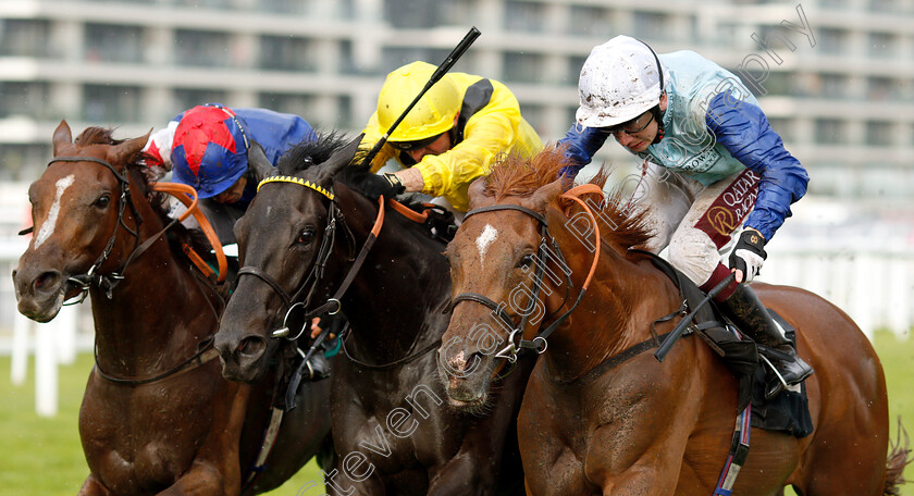 Ritchie-Valens-0008 
 RITCHIE VALENS (right, Oisin Murphy) beats TAMMOOZ (centre) and FANTASTIC BLUE (left) in The Oakgrove Graduates Handicap
Newbury 6 Aug 2019 - Pic Steven Cargill / Racingfotos.com