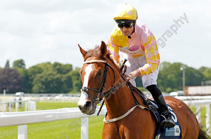 Candescence 
 CANDESCENCE (Dougie Costello)
York 10 Jun 2022 - Pic Steven Cargill / Racingfotos.com