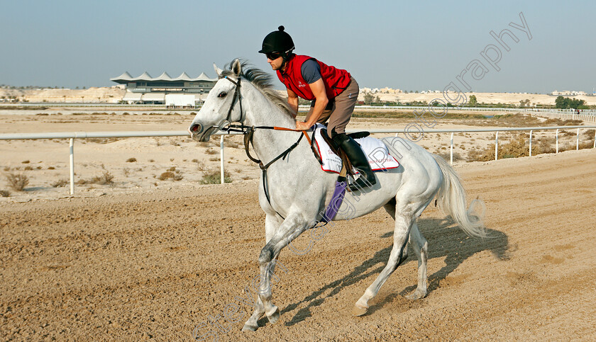 Lord-Glitters-0002 
 LORD GLITTERS training for the Bahrain International Trophy
Rashid Equestrian & Horseracing Club, Bahrain, 19 Nov 2020 - Pic Steven Cargill / Racingfotos.com