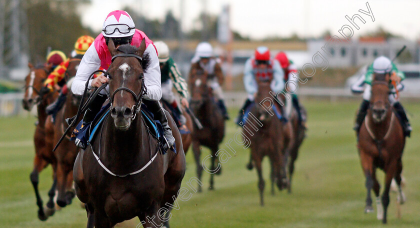 Square-De-Luynes-0007 
 SQUARE DE LUYNES (Robert Havlin) wins The Stockholm Cup International
Bro Park, Sweden 22 Sep 2019 - Pic Steven Cargill / Racingfotos.com