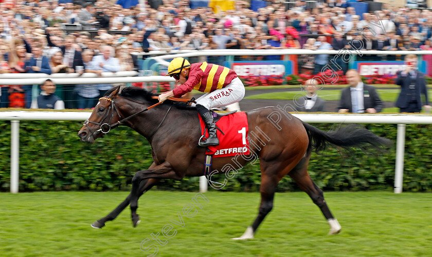 Iberian-0002 
 IBERIAN (Tom Marquand) wins The Betfred Champagne Stakes
Doncaster 16 Sep 2023 - Pic Steven Cargill / Racingfotos.com