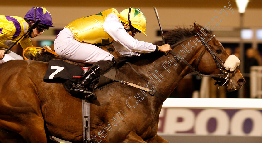 Pinnata-0001 
 PINNATA (Sean Levey) wins The Bet In Play At totesport.com Handicap
Chelmsford 29 Nov 2018 - Pic Steven Cargill / Racingfotos.com