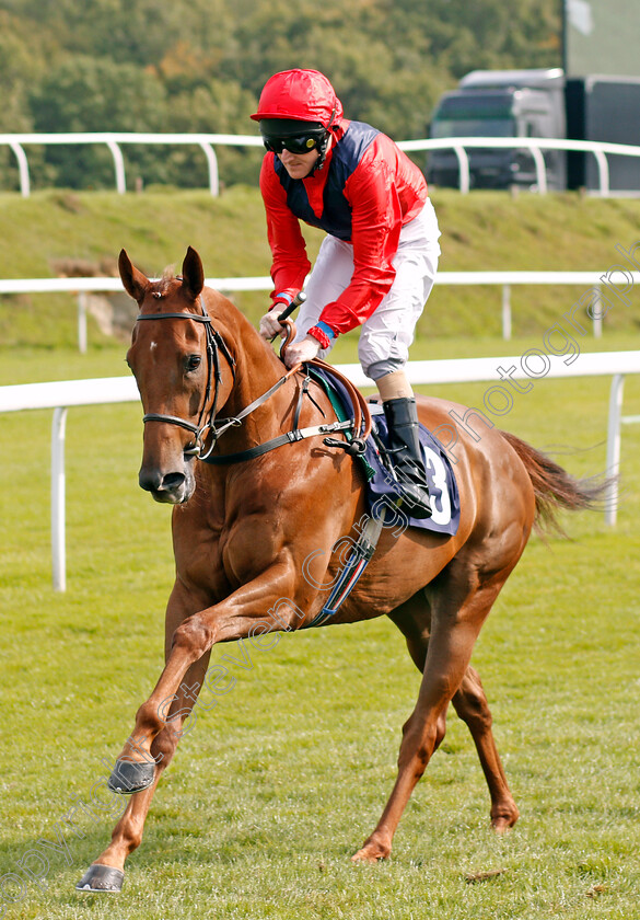 Majboor-0001 
 MAJBOOR (Liam Keniry) Chepstow 6 Sep 2017 - Pic Steven Cargill / Racingfotos.com