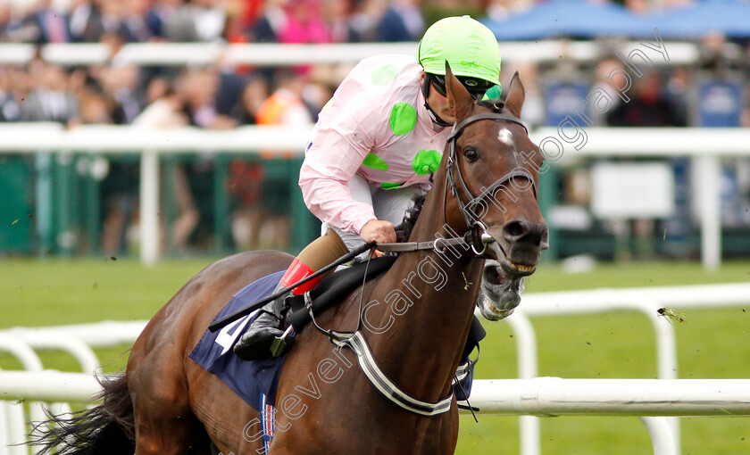 Max-Dynamite-0002 
 MAX DYNAMITE (Andrea Atzeni)
Doncaster 14 Sep 2018 - Pic Steven Cargill / Racingfotos.com